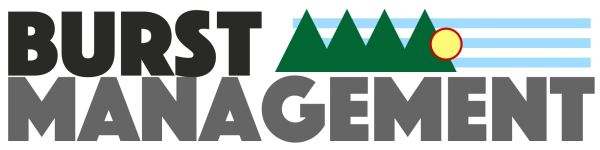 Burst Management logo